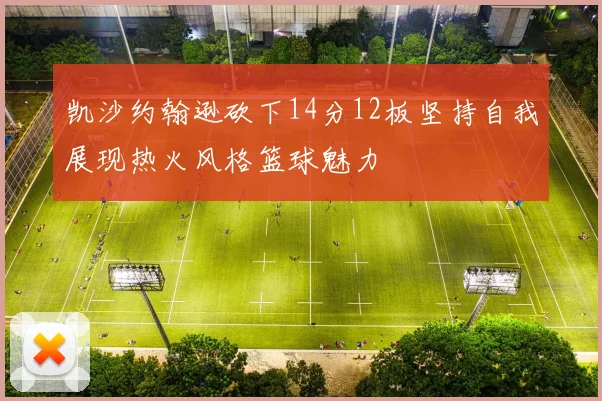 凯沙约翰逊砍下14分12板坚持自我展现热火风格篮球魅力